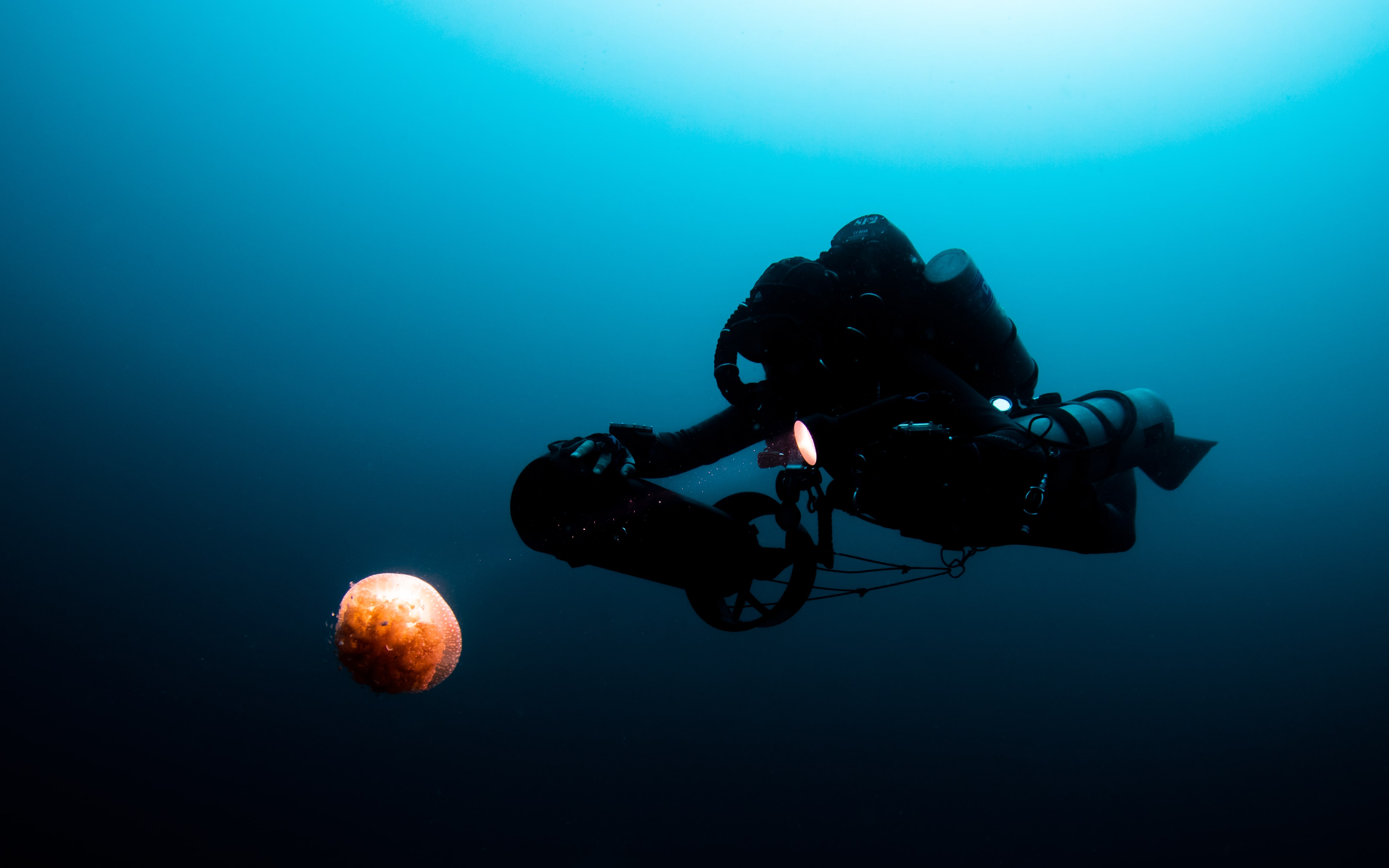 Yannick finding jellyfish on technical scuba dive